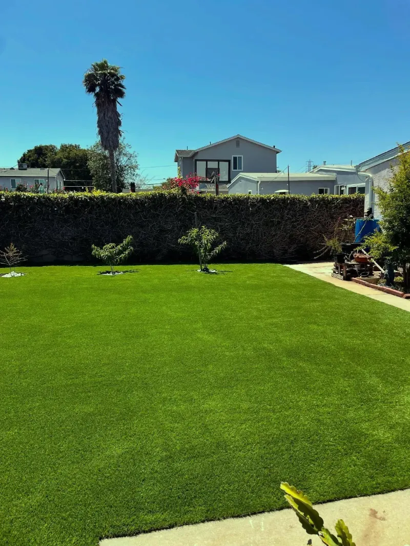 Pet-friendly turf yard